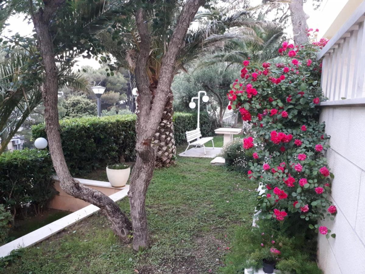 Villa Rosso 巴什卡沃达 外观 照片