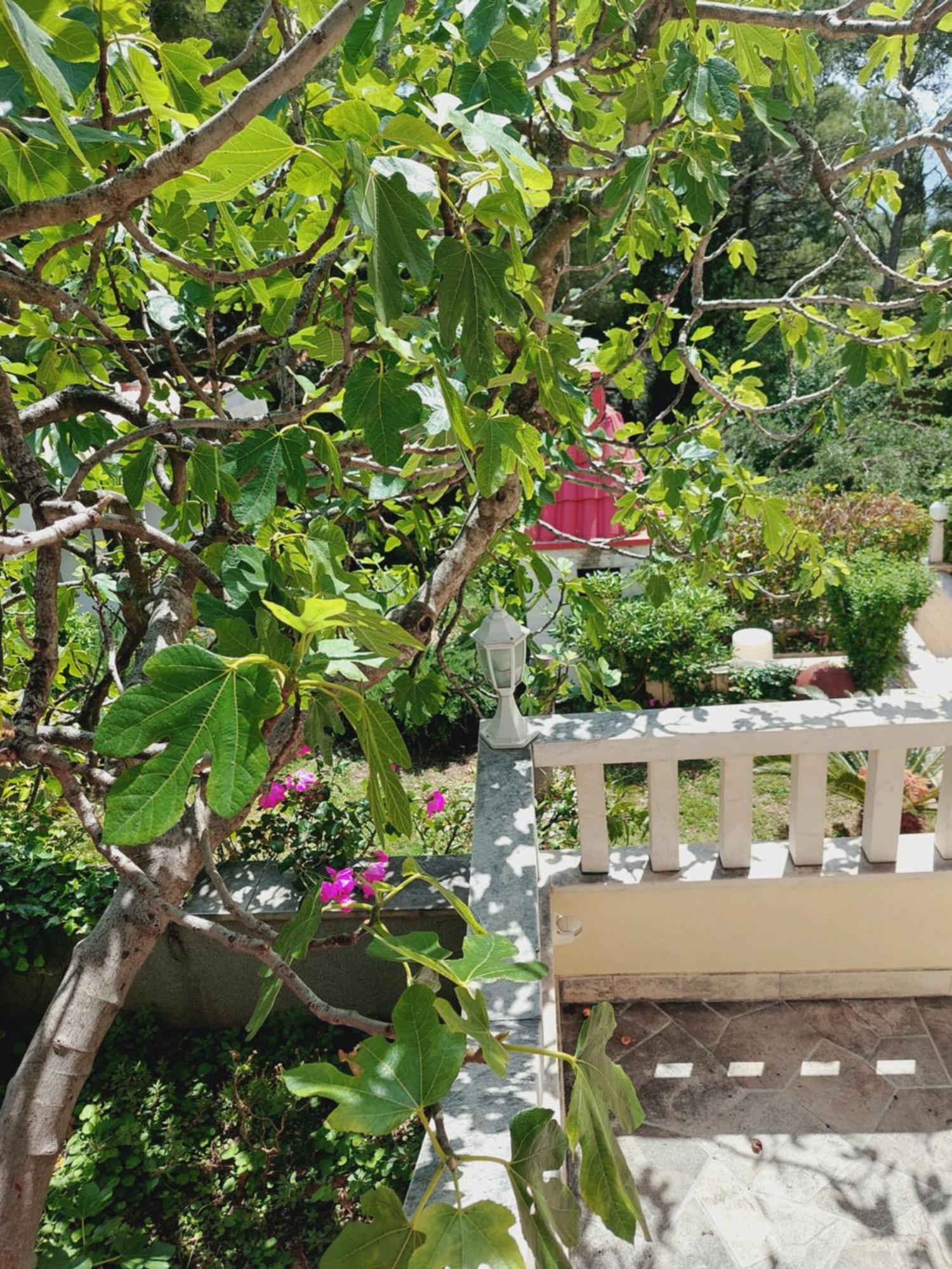 Villa Rosso 巴什卡沃达 客房 照片